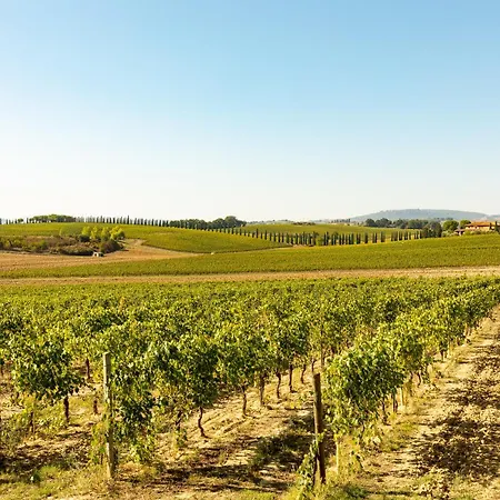 Farm stay Aleatico Montepulciano